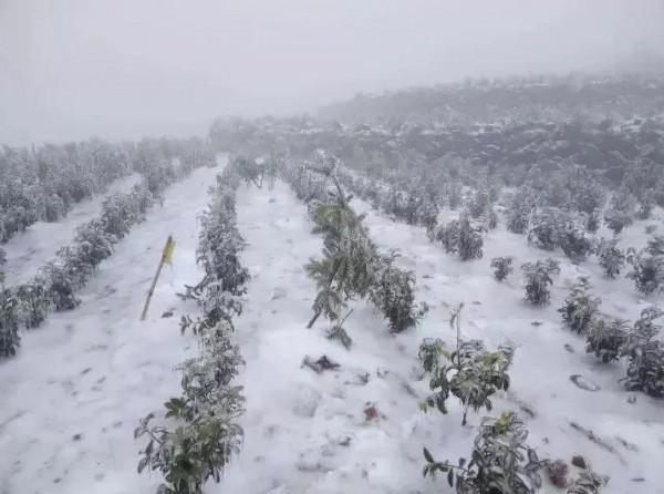 外星生命水熊蟲