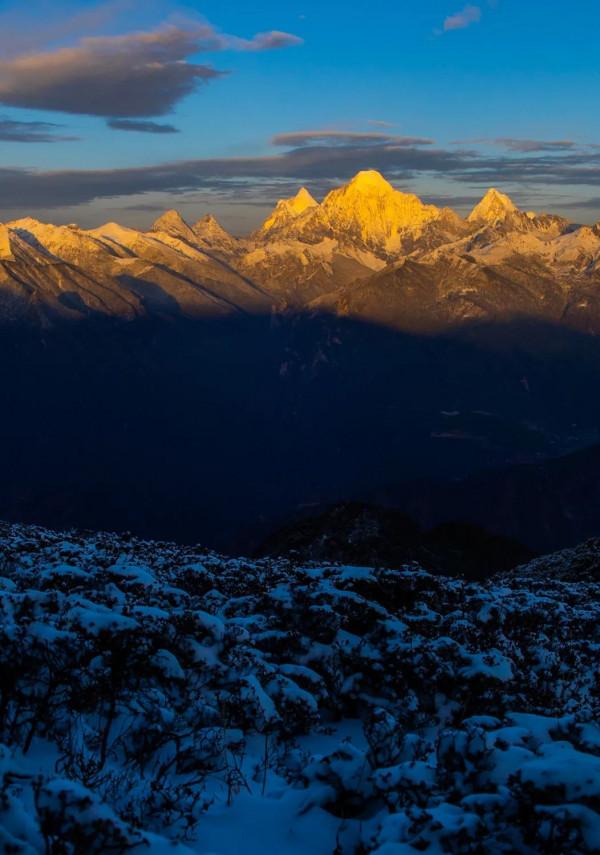 怒放的木裡，美到不真實