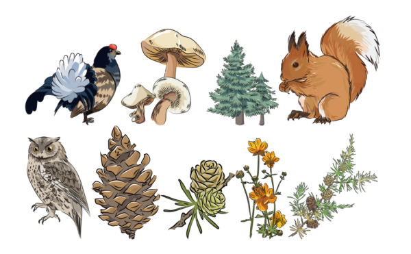 這一次,為什麼是承德? 這一次,為什麼是承德?