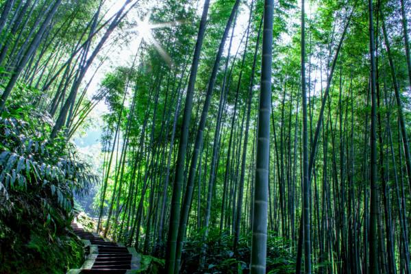 四川省有七個人少景美,老少皆宜的好玩地方,你都去對了嗎? 四川省有七個人少景美,老少皆宜的好玩地方,你都去對了嗎?