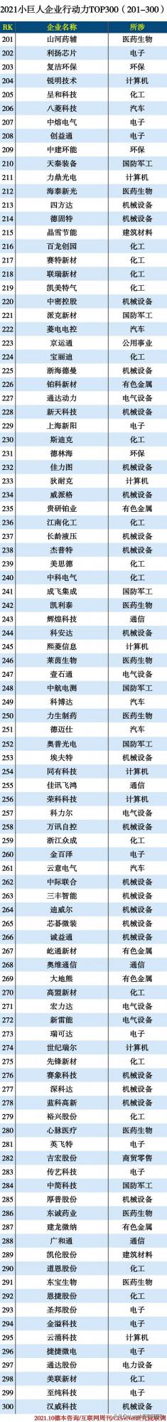 2021小巨人企業300強