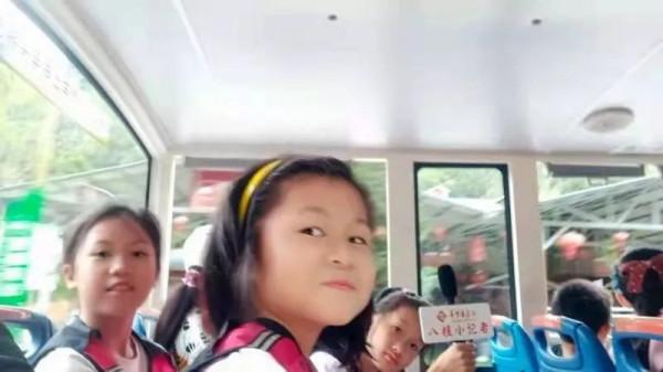 小記遊學高峰森林公園:研學路辨中草藥材,訪靈芝谷看林下經濟 小記遊學高峰森林公園:研學路辨中草藥材,訪靈芝谷看林下經濟