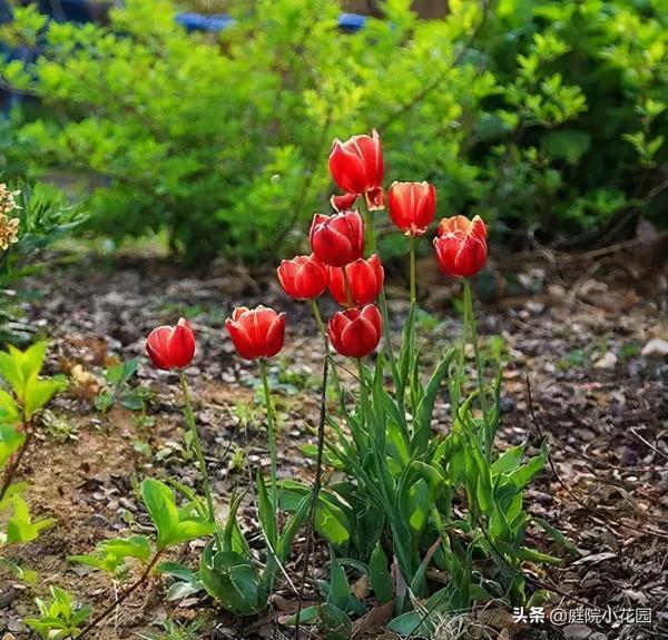他賣掉城裡的房子，包了個山頭，打造集裝箱陽光房、小木屋、花園