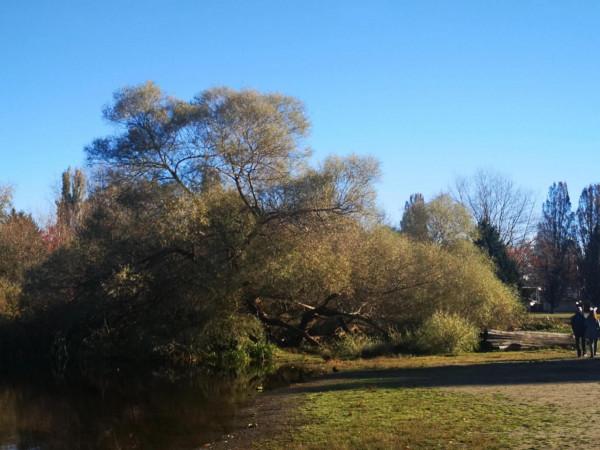 帶你遊溫哥華的小眾景點