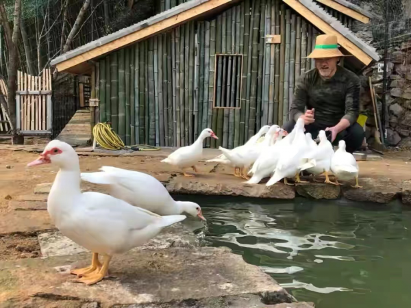 “美男子”趙文瑄：我這一生最自豪的就是我的美貌