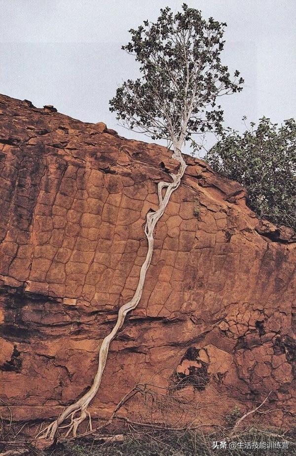 35張圖片帶我們領略大自然的狂野和美麗 35張圖片帶我們領略大自然的狂野和美麗