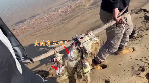 10分鐘釣幾十斤鱖魚、翹嘴魚?江西釣友曬漁獲引熱議 10分鐘釣幾十斤鱖魚、翹嘴魚?江西釣友曬漁獲引熱議