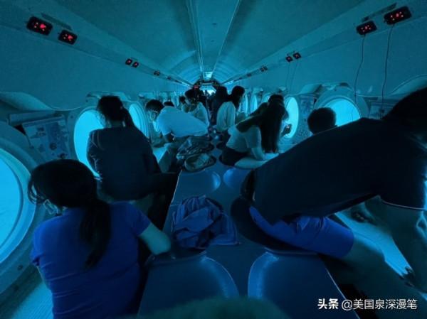 乘風破浪觀賞巨鯨 海底探險博覽魚群