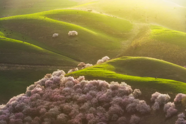 2021年國內旅行時間表出爐！承包你一整年的旅行