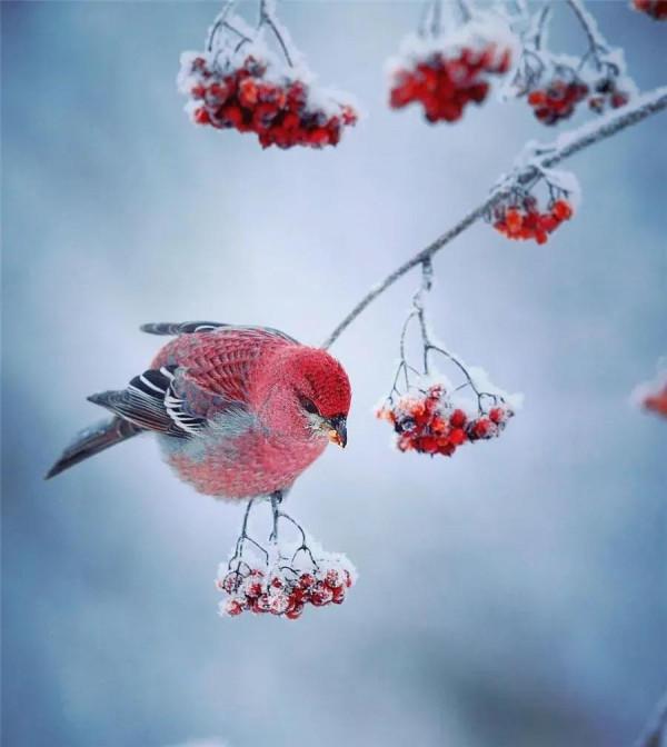 曾仕強：明哲保身是最高明的處世方式