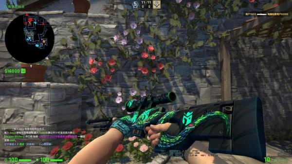 CSGO2021斯德哥爾摩印花搭配推薦 CSGO2021斯德哥爾摩印花搭配推薦