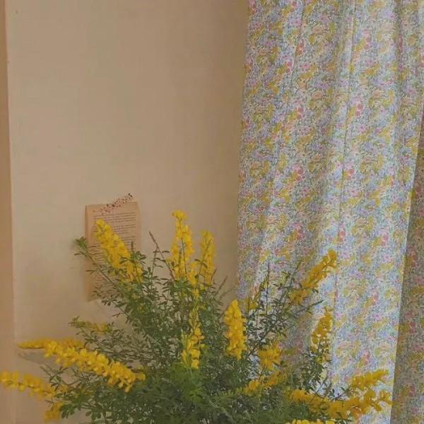 十二星座最討厭自己什麼 十二星座最討厭自己什麼