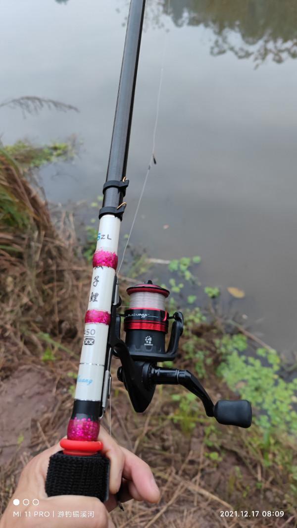 開杆即中目標大板鯽，誰料世事難如願