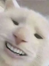 血糖高為啥爛jio？操勞一生的腳需要特別的愛