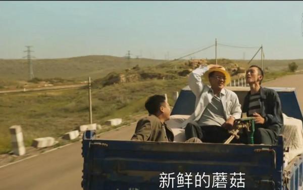 《山海情》的種雙孢菇這場戲太經典了,主創人員用了幾集來表現 《山海情》的種雙孢菇這場戲太經典了,主創人員用了幾集來表現