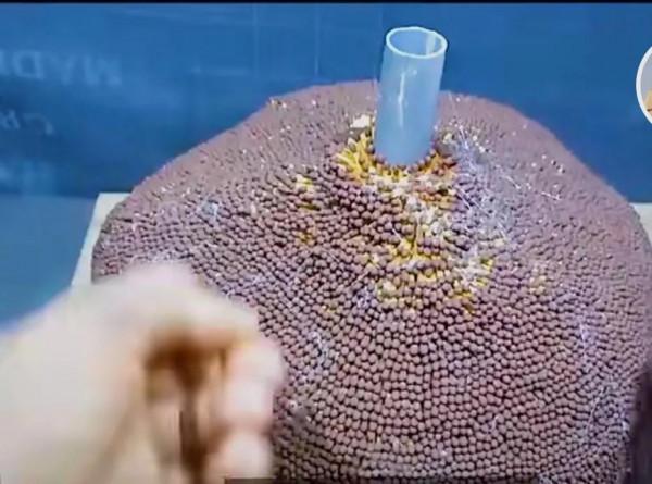 火柴烤出來的雞，味道居然比肯德基還要好？