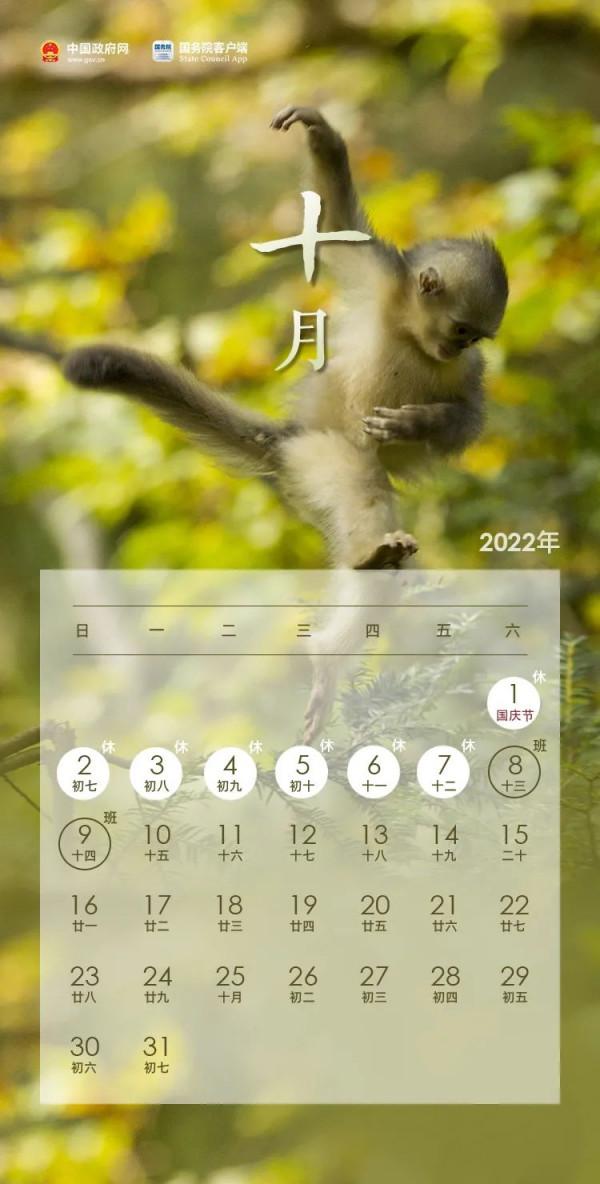 「收藏」它們想要承包你2022一整年的手機桌布