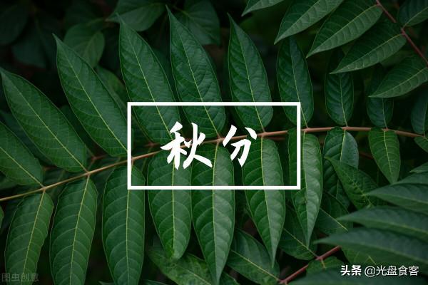 秋分後,多吃這“5寶”食材,降秋燥增營養,應季而食好度秋 秋分後,多吃這“5寶”食材,降秋燥增營養,應季而食好度秋