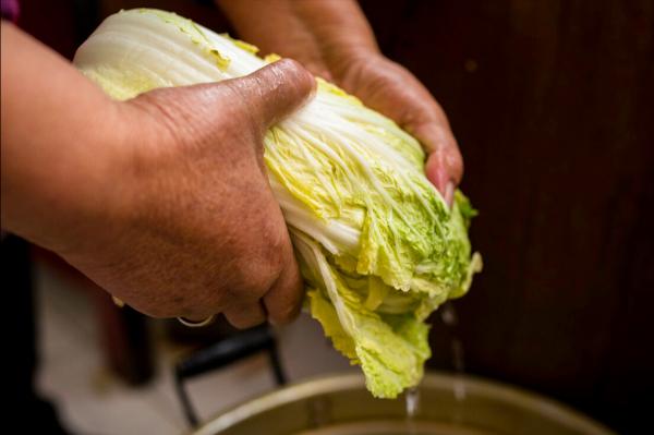 東北大娘教你醃酸菜，牢記2個要點，味道正宗不易爛，酸香爽脆