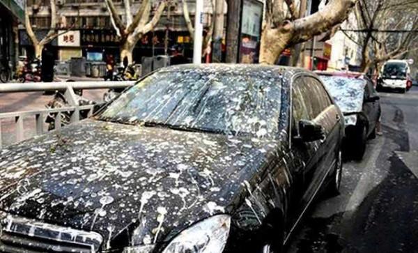 歷史上有哪些小國做過不切實際的稱霸美夢？