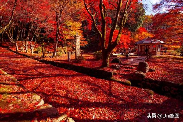 如果一生只能去一次日本,我選擇在秋天 如果一生只能去一次日本,我選擇在秋天