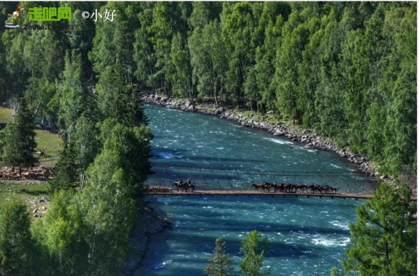 全球最美公路在中國！10065公里世界級大道，​從雪域高原到海洋