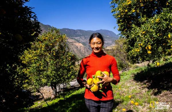 怒放的木裡，美到不真實