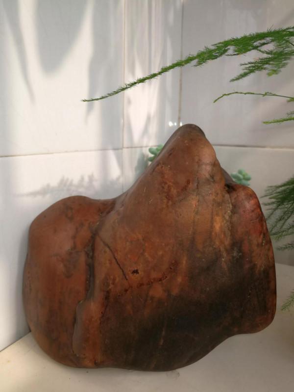 灤河藝術石鑑賞（1）