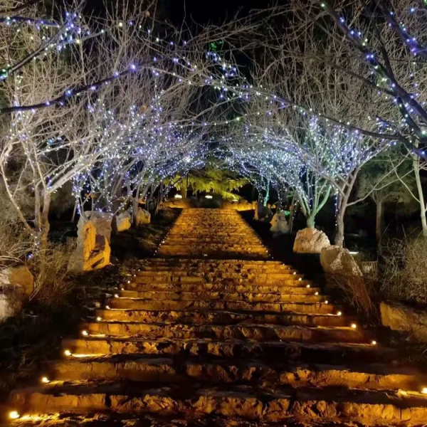 超美！超震撼！這個春節，鹿泉的夜景顏值爆表