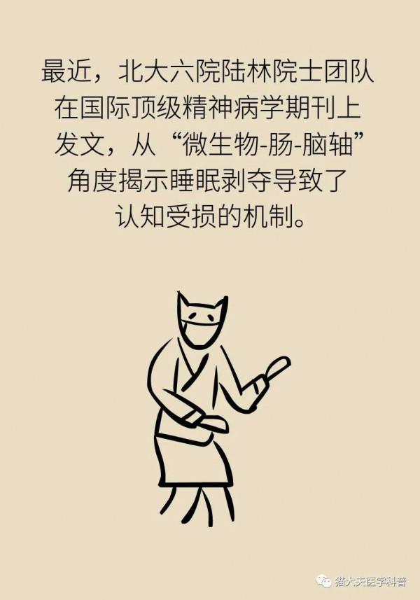 腸子能決定腦子？有趣的“腸-腦軸”瞭解一下