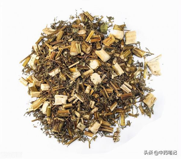 方劑筆記|第40方 青蒿鱉甲湯 方劑筆記|第40方 青蒿鱉甲湯