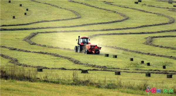 帶你的心靈去遠方！雲遊“醉美天堂”額侖草原（純美組圖）