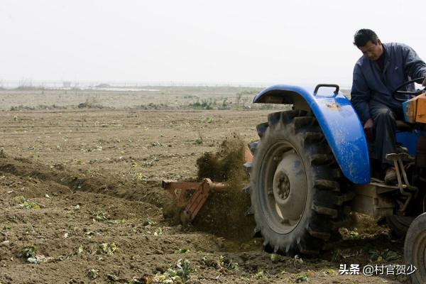 農村土地逐步向統一耕種轉變,對小農戶有什麼影響? 農村土地逐步向統一耕種轉變,對小農戶有什麼影響?