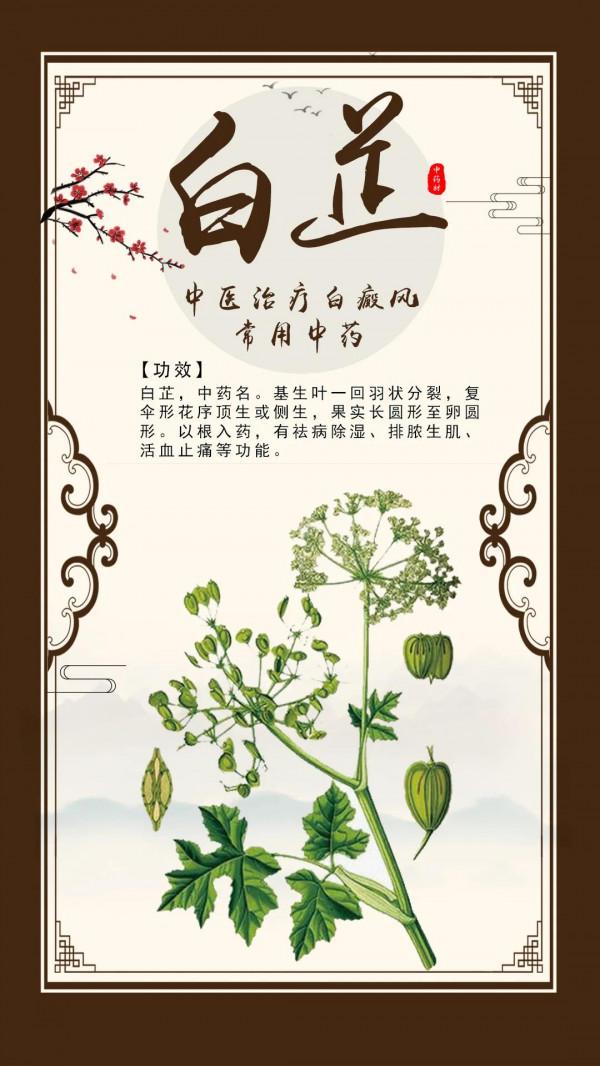 中醫治療白癜風的常用中藥