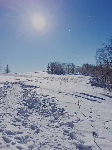 春節想要感受濃濃的年味 2022年春節小眾目的地
