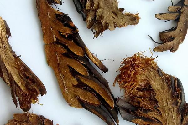 抗疫居家單方04