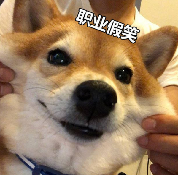 狗狗寫給主人的一封信:我患有異食癖了,你沒留意到嗎 狗狗寫給主人的一封信:我患有異食癖了,你沒留意到嗎