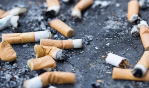 打擊低素質:2022年起在瑞典亂扔菸頭將罰款800克朗 打擊低素質:2022年起在瑞典亂扔菸頭將罰款800克朗