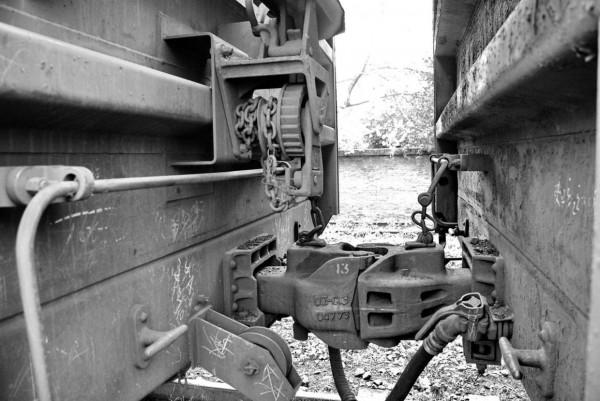 當年我和乘警藏貓貓的事「嚴建設老照片407集」