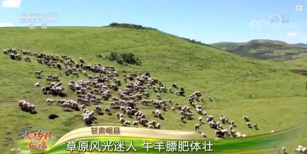 看！2500萬人的豐收圖景