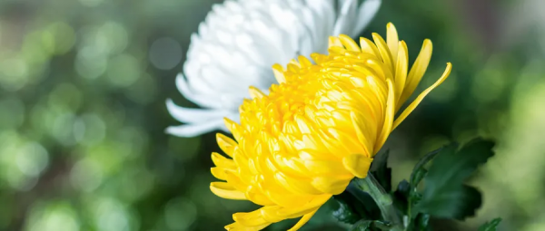 李白5首秋日詩,寫盡人世間冷暖,無人能及 李白5首秋日詩,寫盡人世間冷暖,無人能及