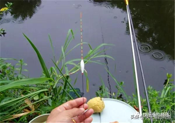 冬釣調漂技巧來了，讓你穩抓魚口