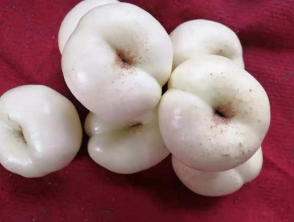 這些“陌生的水果”,雖然一個都不認識,但它們看起來很好吃 這些“陌生的水果”,雖然一個都不認識,但它們看起來很好吃