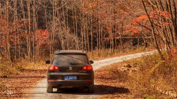 本溪有一個可以自駕遊覽的景區，觀賞紅葉絕美，今年秋天不能錯過