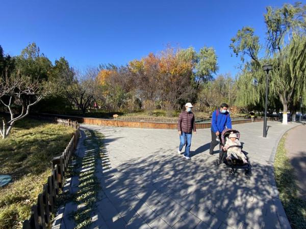身邊的“豐”景 | 蓮花池公園重重落葉黃