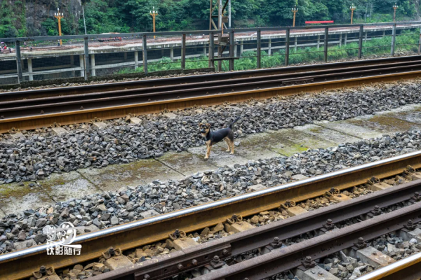 隨行 | 中國“最窄”的縣城——鹽津縣