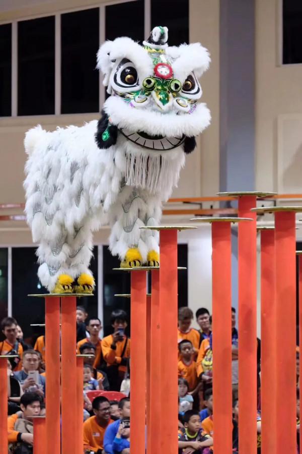 《雄獅少年》：未來可期