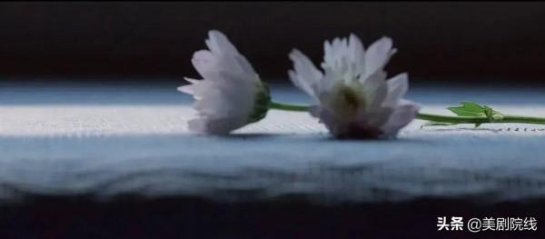 Netflix又拍了一部爆款華語劇，真夠生猛