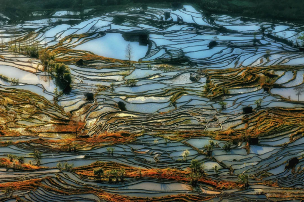 兩年以前，我們說走就能走，可以去任何想去的地方