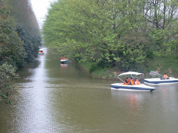 好釣位，全靠地形，認清這幾種地形，打窩之後全是魚